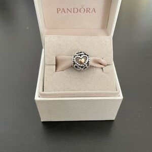 Pandora Spread the Love Charm